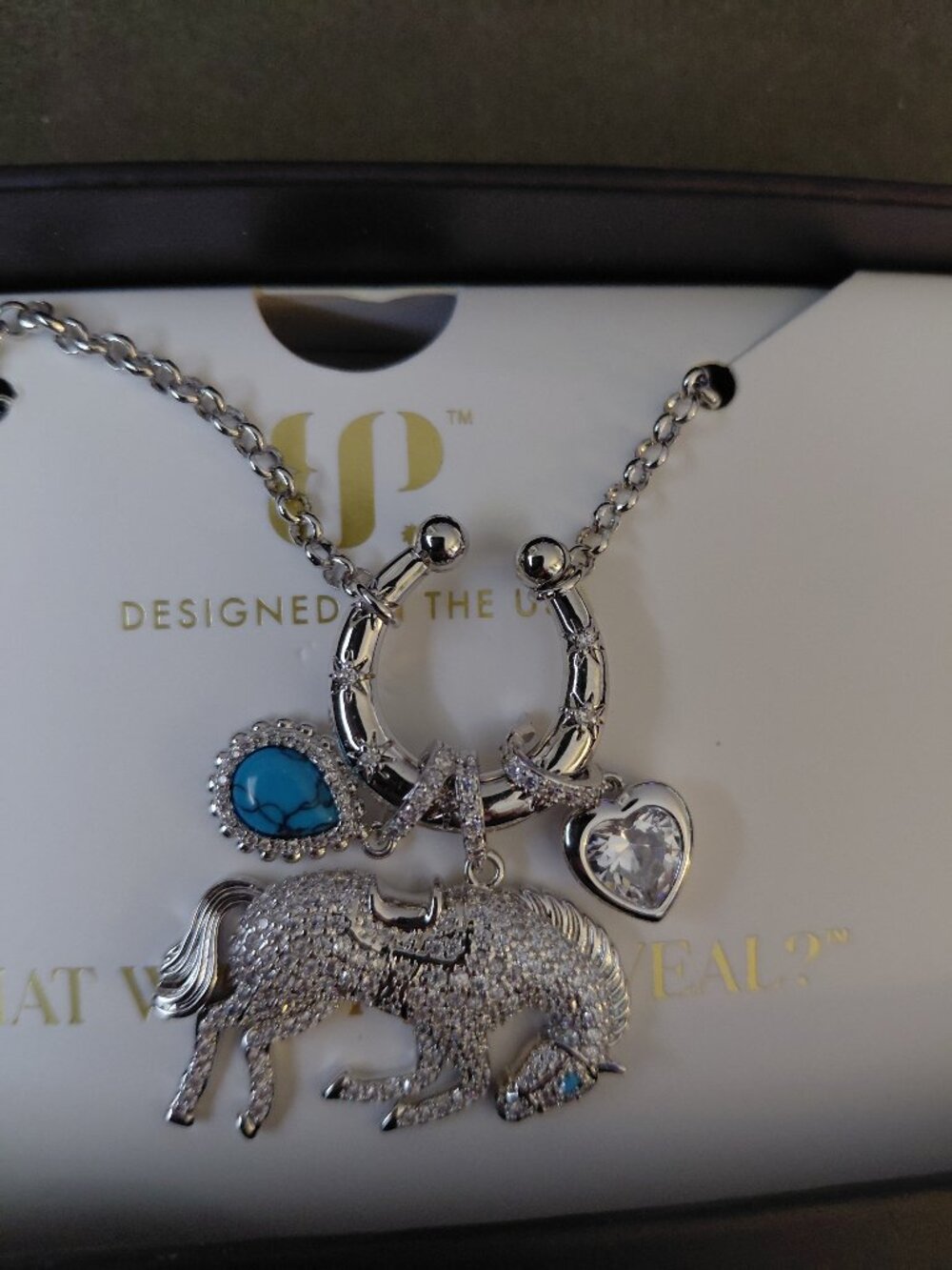 Rbp outlaw raised untamed necklace on rhodium plating